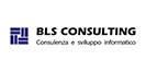 B.L.S. CONSULTING SRL logo
